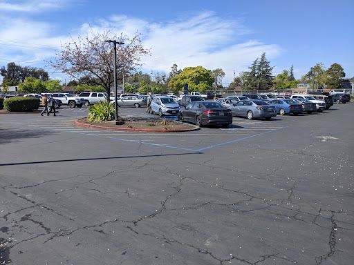 Santa Rosa DMV