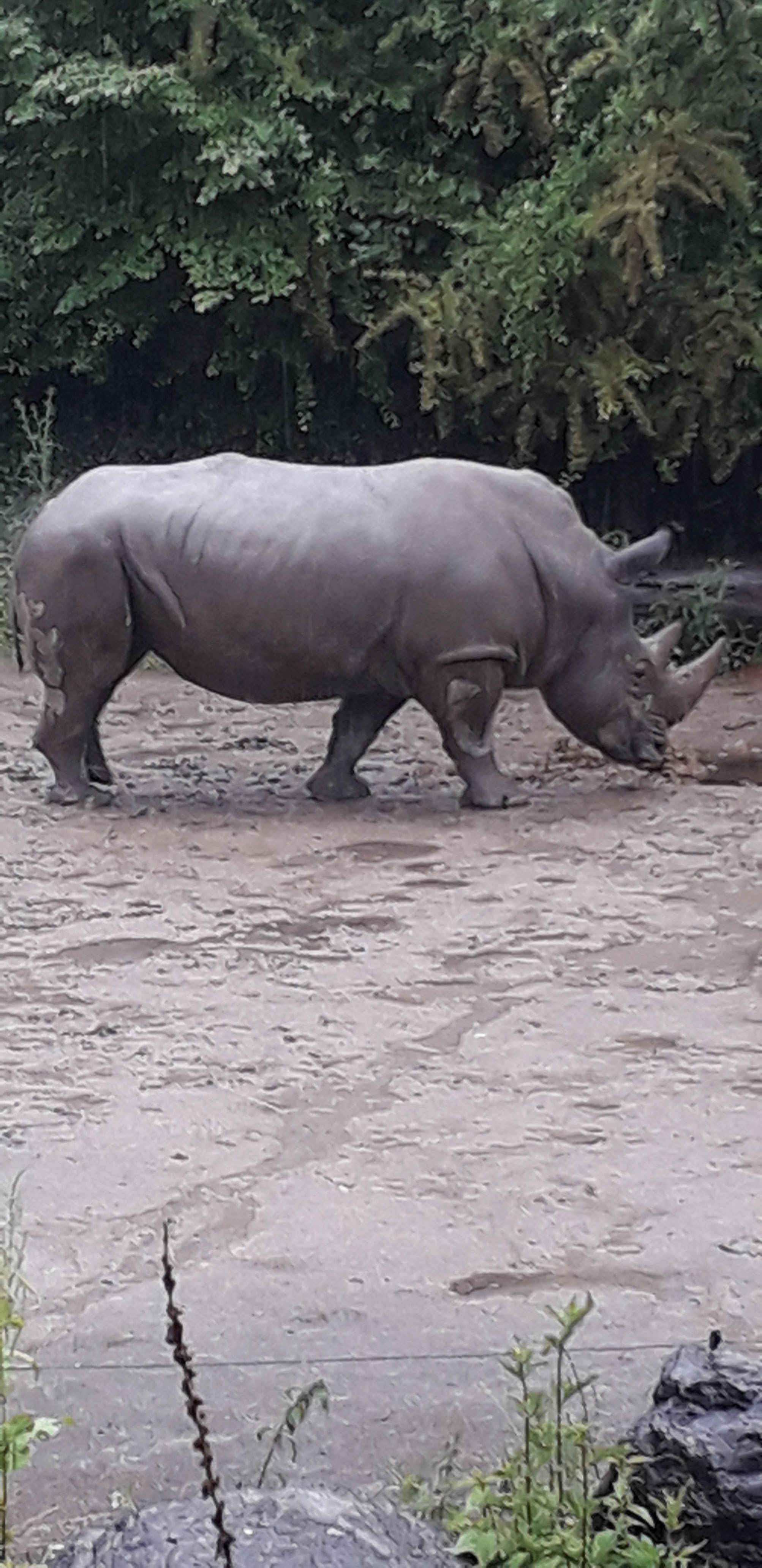 Photo n° 4 de l'avis de Nelly.n fait le 05/06/2022 à 19:16