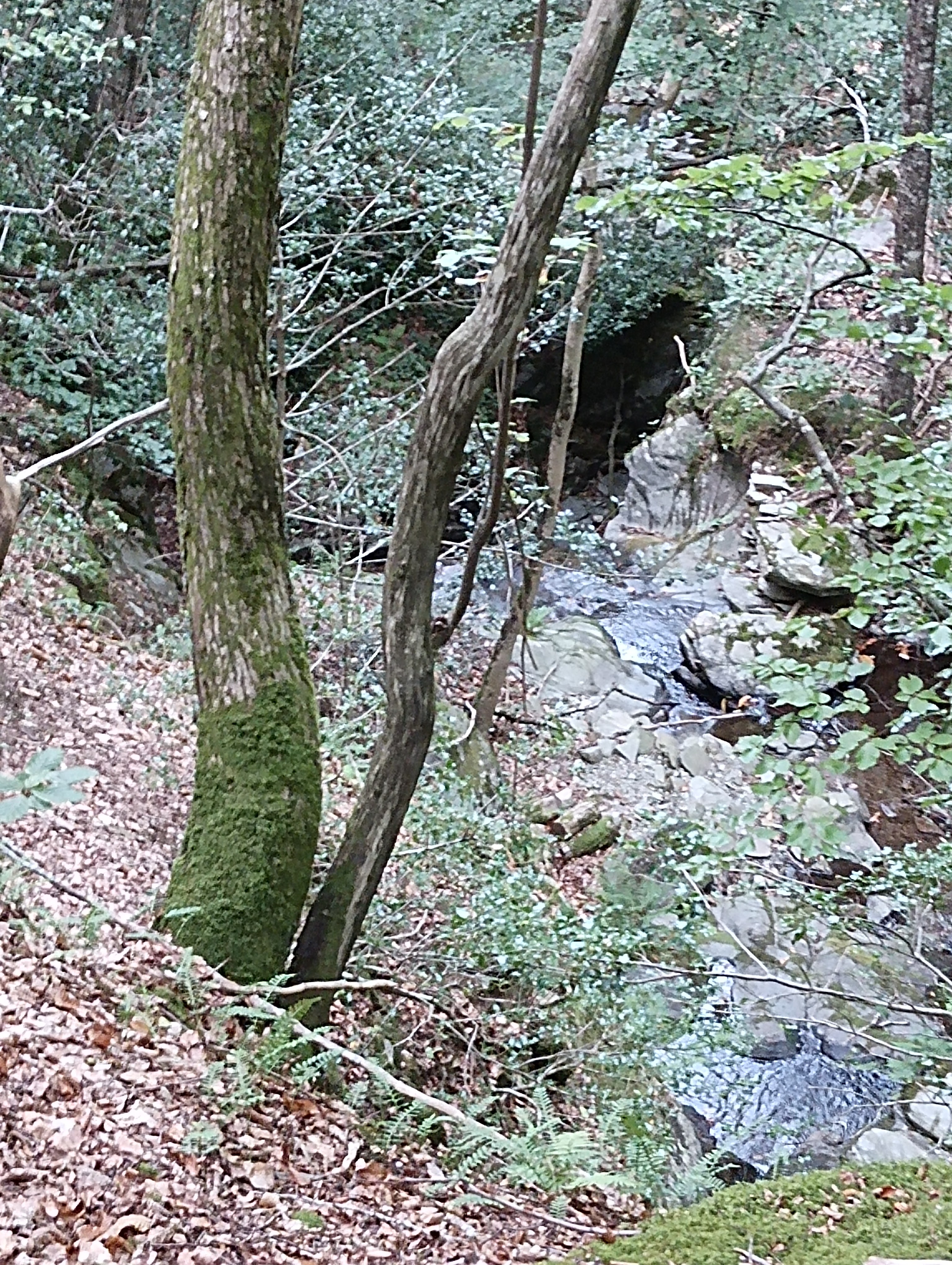 Photo n° 17 de l'avis de Bilbon.A fait le 06/09/2023 à 20:58