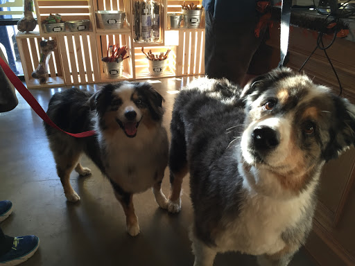 Pet Supply Store «The Naked Dog (Protein For Pets)», reviews and photos, 712 N Moorpark Rd, Thousand Oaks, CA 91360, USA