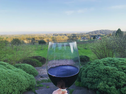 Terra Vina Wines Vineyard