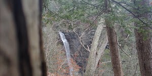 Sweedler and Thayer Preserves - photo 35
