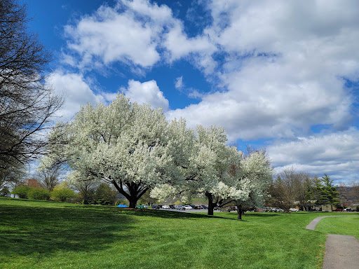Golf Course «Belles Springs Golf Course», reviews and photos, 417 Fairground Rd, Mill Hall, PA 17751, USA
