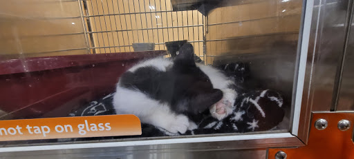 Pet Supply Store «PetSmart», reviews and photos, 1125 Hover St, Longmont, CO 80501, USA