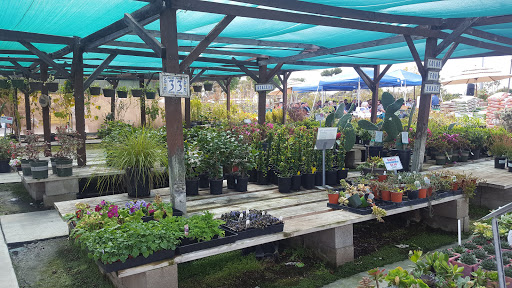 Gift Shop «Blue Hills Nursery & Gift Shop», reviews and photos, 16440 Whittier Blvd, Whittier, CA 90603, USA