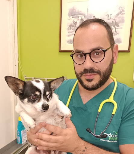 Pensioni per cani e dog hotel a C.R.O. VET (Centro Referenza Oncologia Veterinaria)