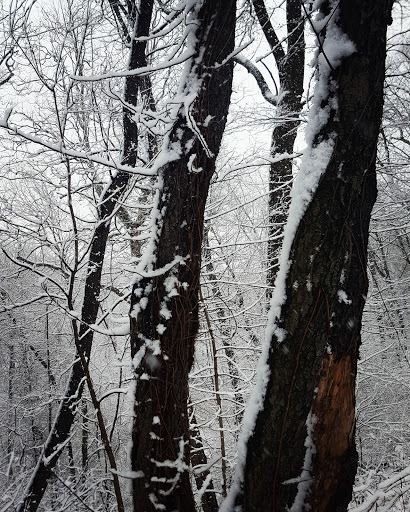 Park «Seton Falls Park», reviews and photos, E 233rd St, Bronx, NY 10466, USA