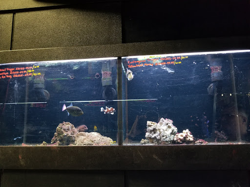 Tropical Fish Store «Aquarium Adventure», reviews and photos, 744 E Boughton Rd, Bolingbrook, IL 60440, USA