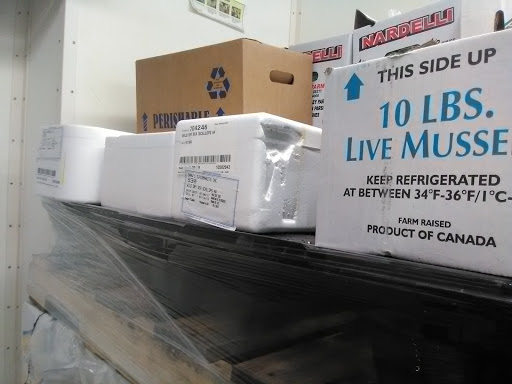 Shopping Mall «Aquidneck Shopping Centre», reviews and photos, 77 E Main Rd, Middletown, RI 02842, USA