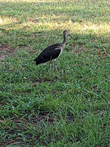 Nature Preserve «Marshall Hampton Reserve», reviews and photos, 3115 Thornhill Rd, Winter Haven, FL 33880, USA