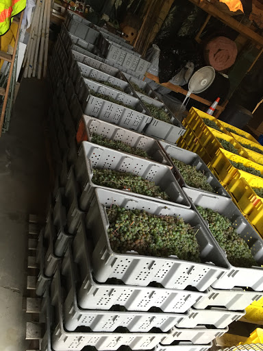 Winery «Walpole Mountain View Winery», reviews and photos, 114 Barnett Hill Rd, Walpole, NH 03608, USA