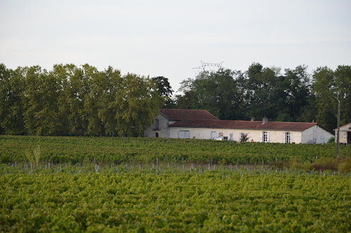 Vignobles Pestoury à Yvrac