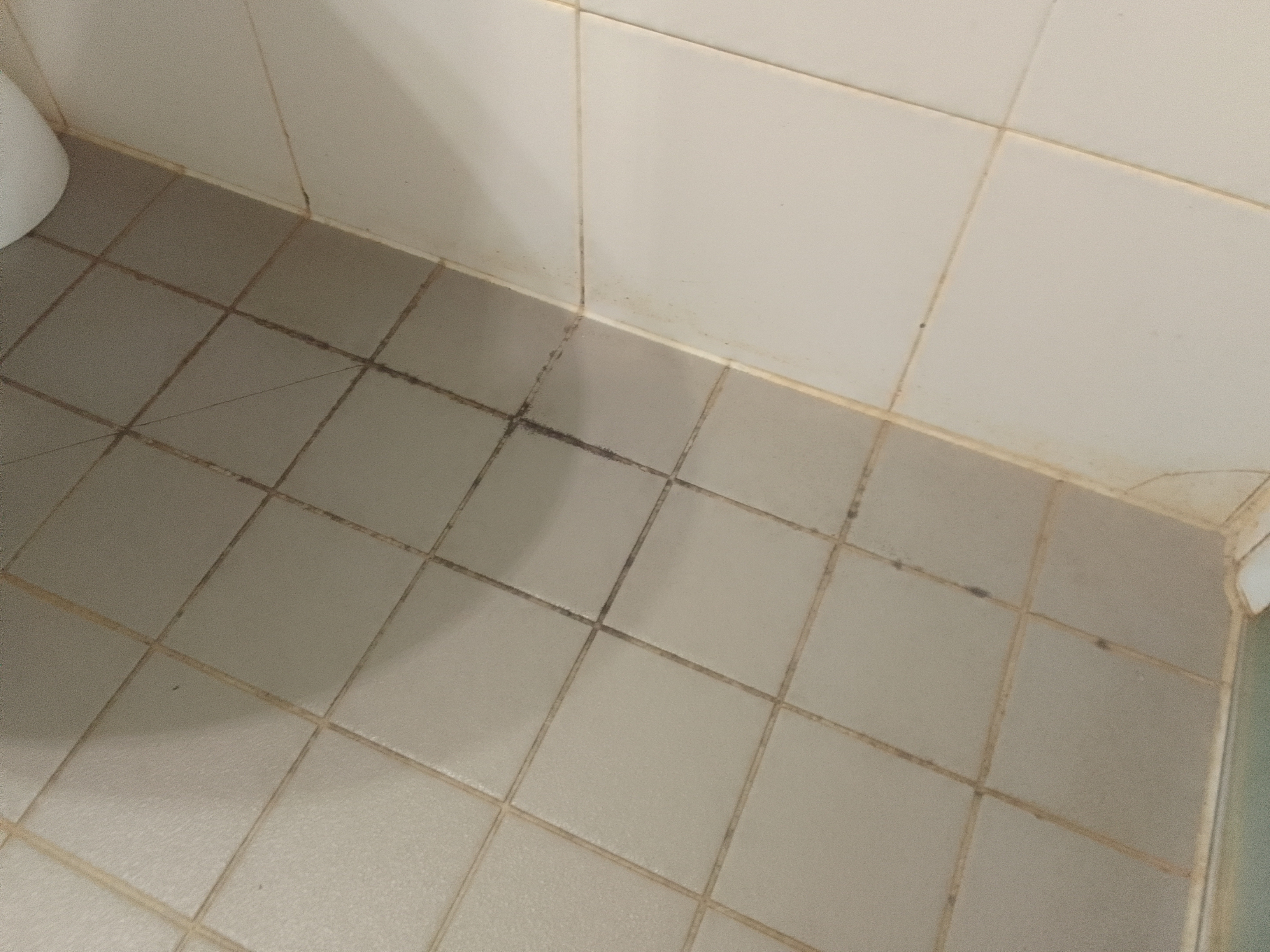 Photo n° 2 de l'avis de sébastien.h fait le 29/10/2022 à 15:45