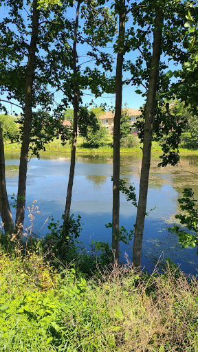 Park «Spring Lake Park», reviews and photos, 396 Springlake Ln, Aurora, IL 60504, USA