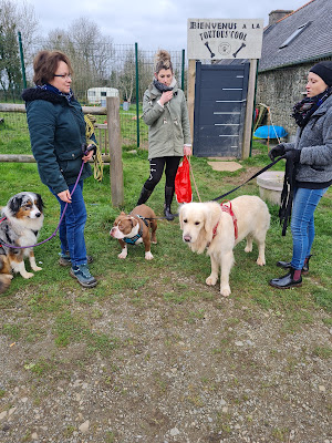 Bea'ttitude Animaux Educateur Canin 29 à Hanvec