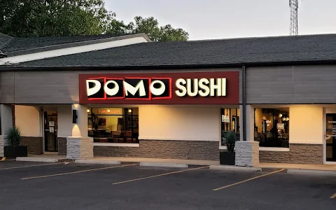 Domo Sushi image