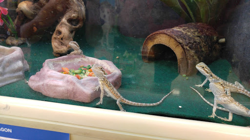 Pet Supply Store «PetSmart», reviews and photos, 144 Retail Commons Pkwy, Martinsburg, WV 25403, USA