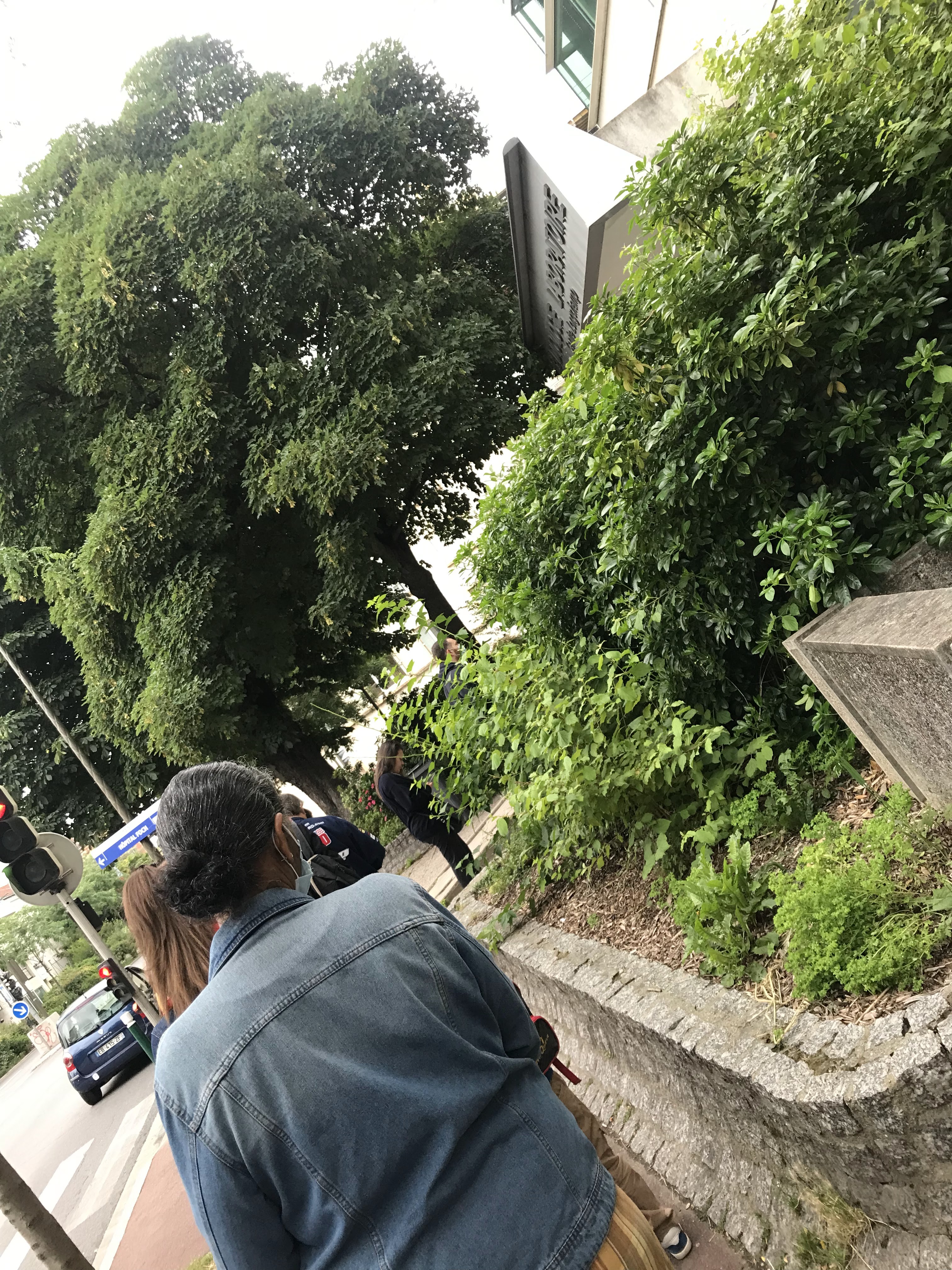 Photo n° 1 de l'avis de LAURENT.� fait le 16/07/2021 à 09:25