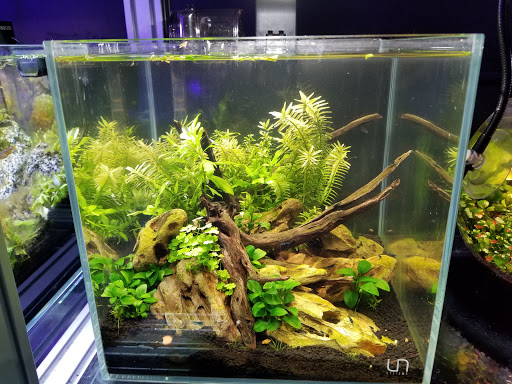 Tropical Fish Store «Manhattan Aquariums», reviews and photos, 522 W 37th St, New York, NY 10018, USA