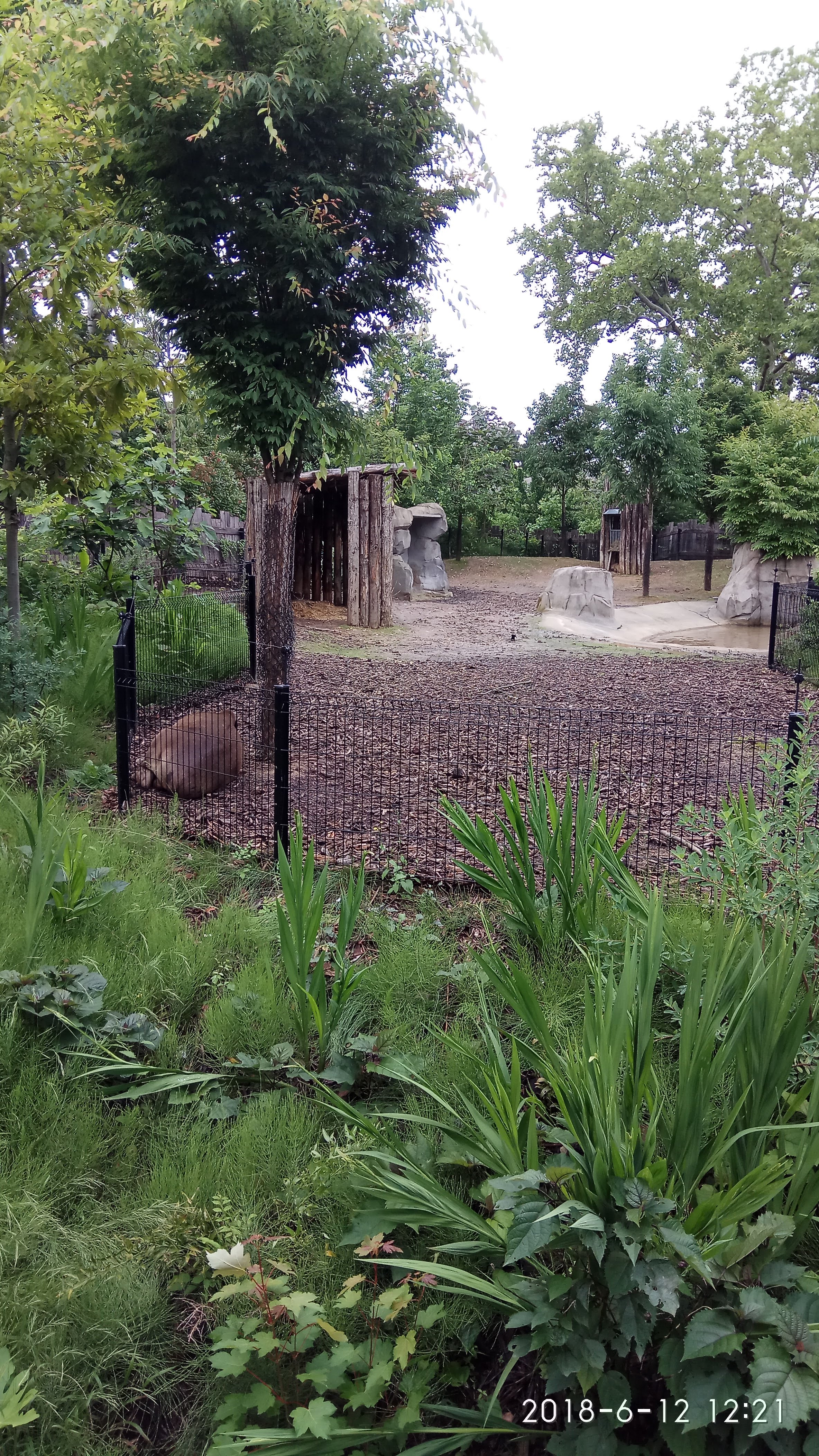 Photo n° 44 de l'avis de Swiss.e fait le 15/06/2018 à 19:24