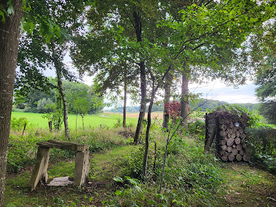 Arboretum de Giriviller à Giriviller