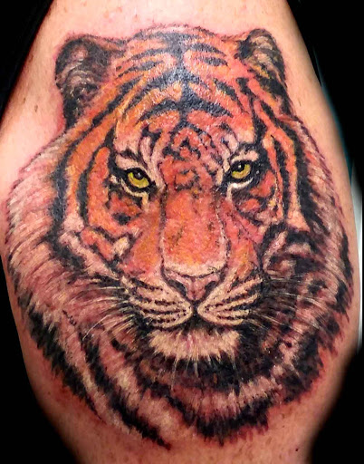 Explore cute panda tattoo ideas, creative tattoo ideas in Asheville, available at Liquid Dragon Tattoo
