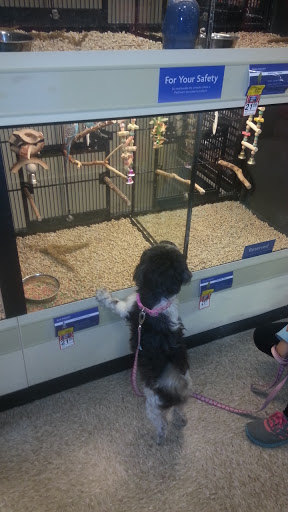 Pet Supply Store «PetSmart», reviews and photos, 45 Park Pl Dr, Covington, LA 70433, USA