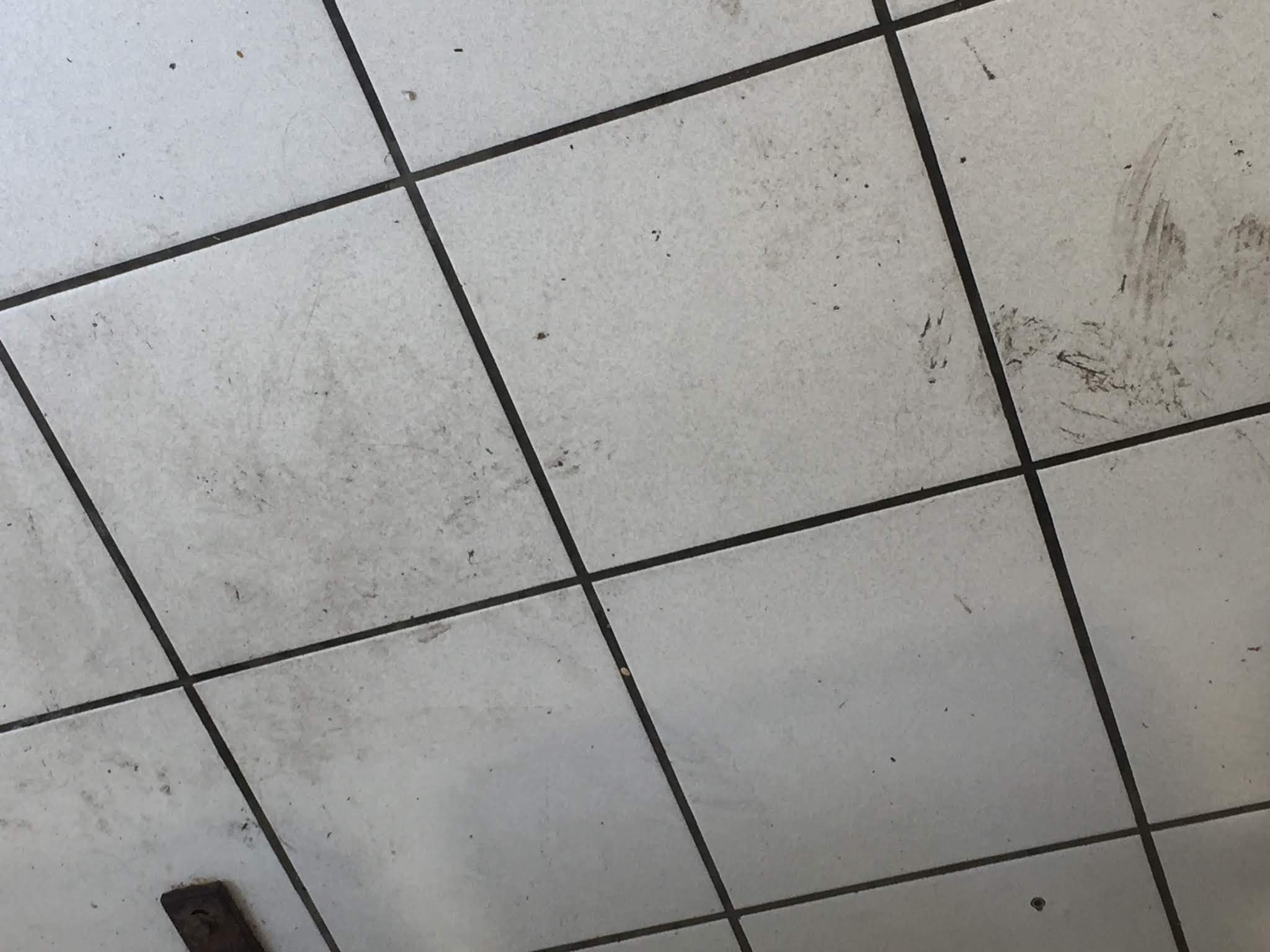 Photo n° 25 de l'avis de Patrice. fait le 01/07/2019 à 12:14