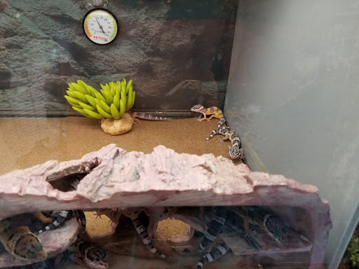 Pet Supply Store «Petco Animal Supplies», reviews and photos, 210 Fortune Blvd, Milford, MA 01757, USA