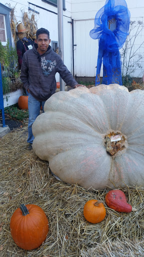 Gourmet Grocery Store «Max Hansen Carversville Grocery», reviews and photos, 6208 Fleecy Dale Rd, Carversville, PA 18913, USA