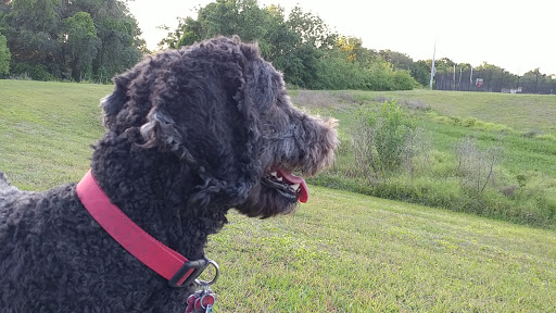 Park «Sanlando Park», reviews and photos, 401 W Highland St, Altamonte Springs, FL 32714, USA