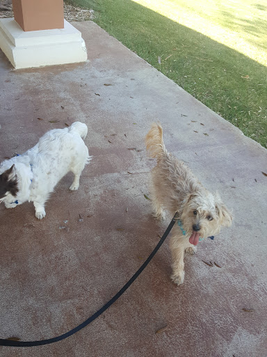 Country Club «Scenic Hills Country Club», reviews and photos, 8891 Burning Tree Rd, Pensacola, FL 32514, USA