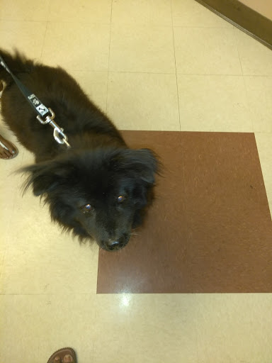 Pet Supply Store «PetSmart», reviews and photos, 1700 Norman Dr #200, Valdosta, GA 31601, USA