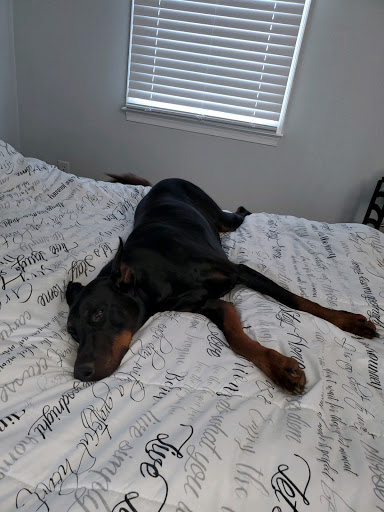 Pet Store «Pets Plus Inc», reviews and photos, 2610 Jefferson Davis Hwy, Stafford, VA 22554, USA