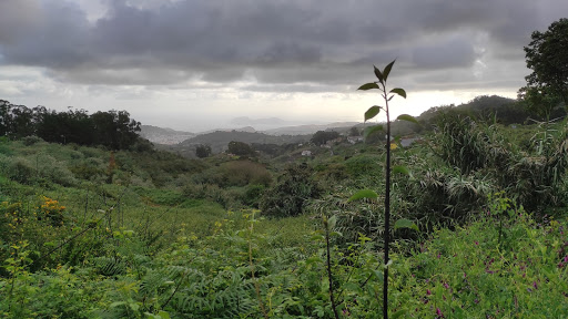 Mirador de Las Pellas