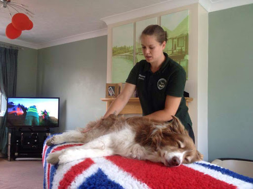 Nottingham Canine Massage
