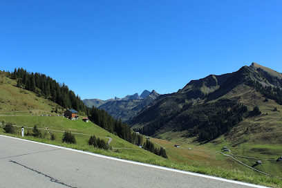 KOETSIER Rijopleidingen