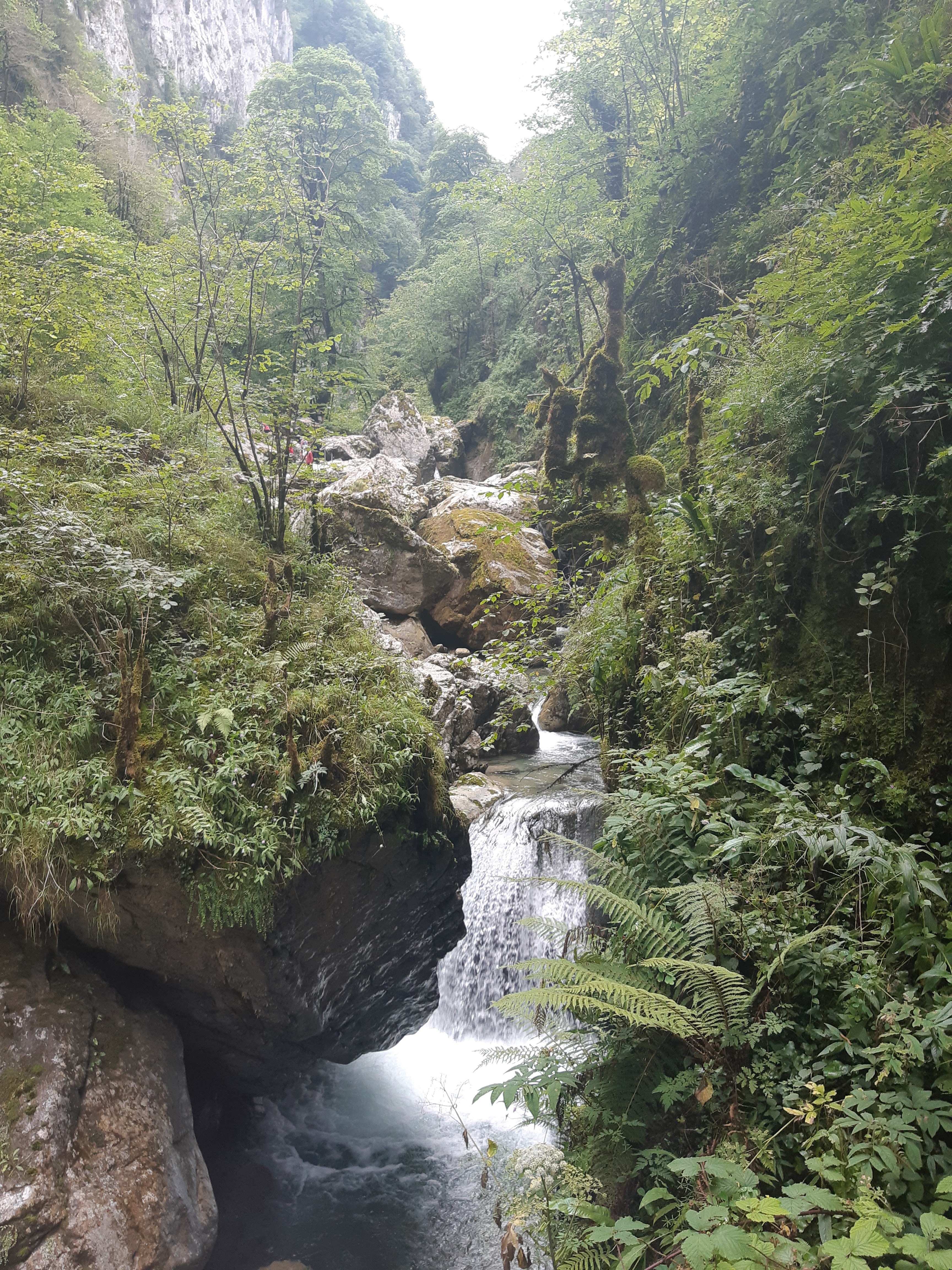 Photo n° 3 de l'avis de Yaël.e fait le 16/08/2019 à 10:43