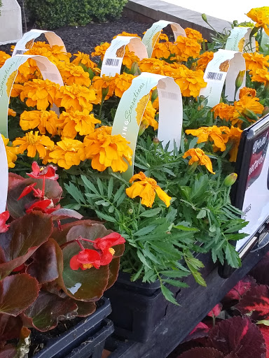 Grocery Store «ACME Markets», reviews and photos, 301 S Main Rd, Vineland, NJ 08360, USA