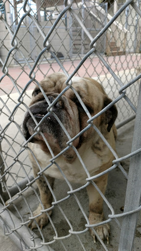 Animal Shelter «Humane Society of Atlantic County», reviews and photos, 1401 Absecon Blvd, Atlantic City, NJ 08401, USA