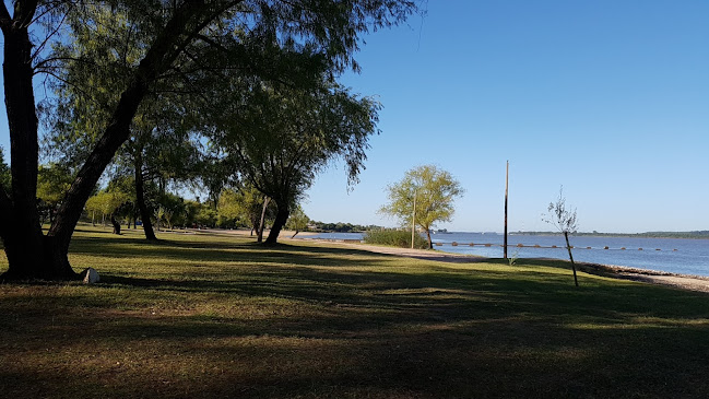 Opiniones de Playa Municipal en Paysandú - Camping