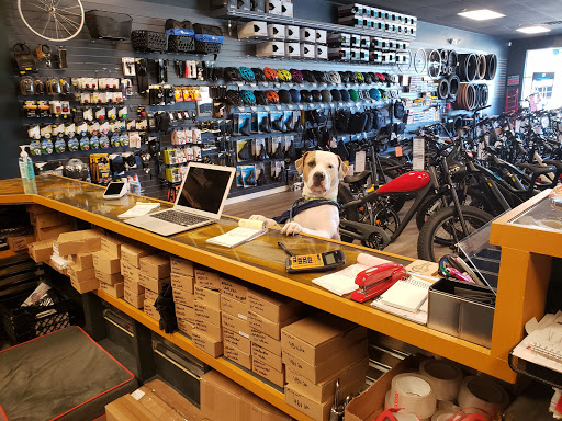 Bicycle Store «Electric Bike Shop», reviews and photos, 606 SW Bayshore Blvd, Port St Lucie, FL 34983, USA
