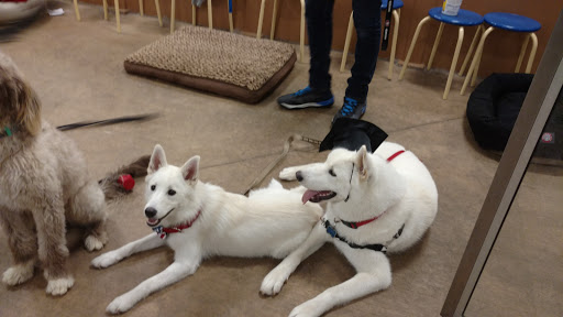 Pet Supply Store «PetSmart», reviews and photos, 2828 Campus Pkwy, Riverside, CA 92507, USA