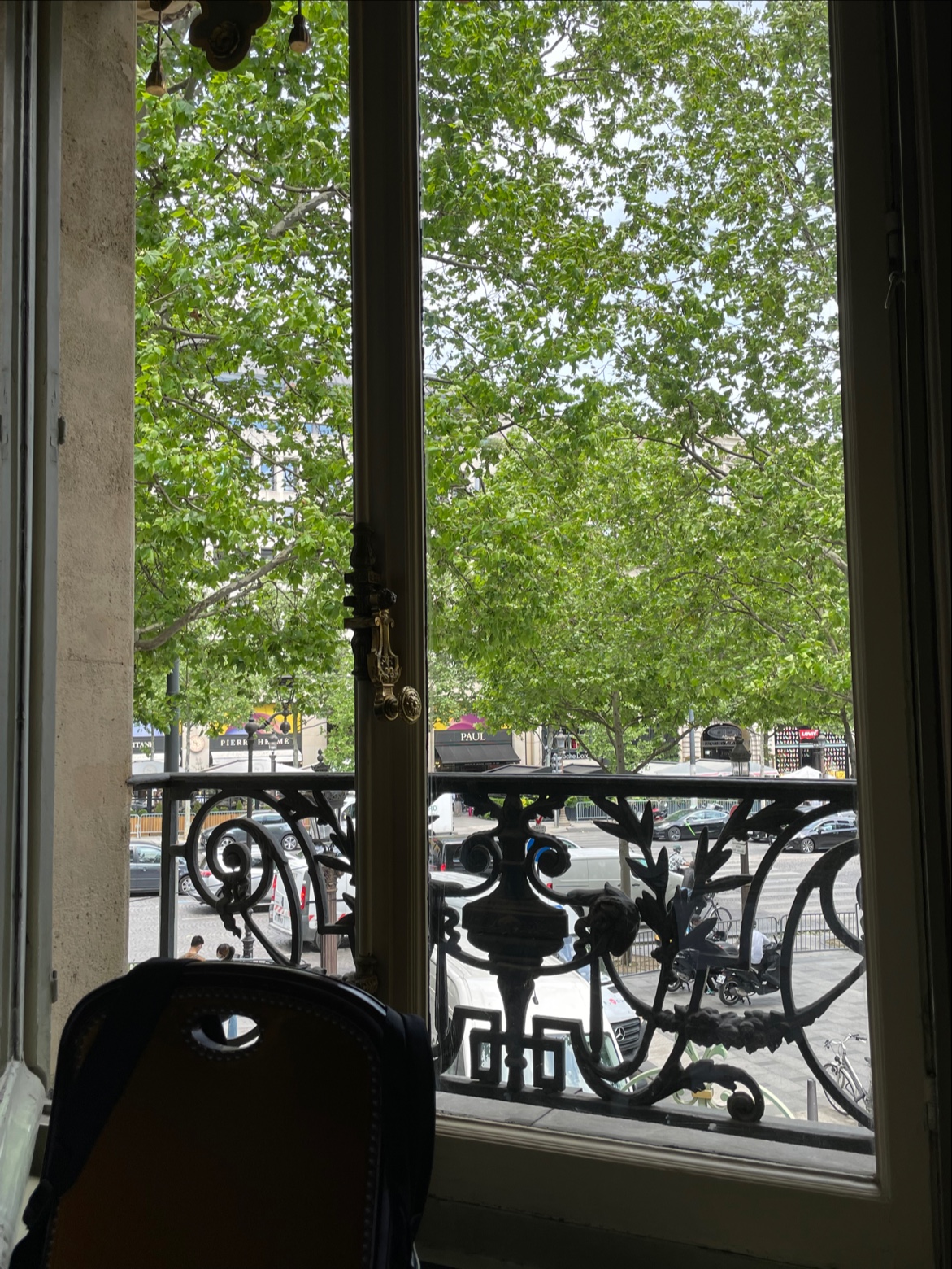 Photo n° 14 de l'avis de Chelsea. fait le 16/08/2022 à 18:04