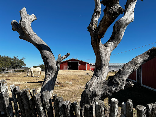 Dude Ranch «West 1077 Guest Ranch», reviews and photos, 9061 Bandera Creek Rd, Bandera, TX 78003, USA