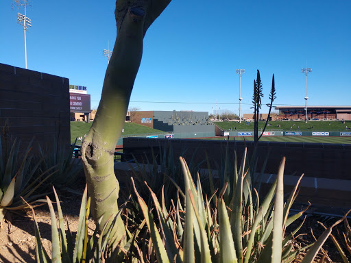 Baseball Field «Salt River Fields at Talking Stick», reviews and photos, 7555 N Pima Rd, Scottsdale, AZ 85258, USA