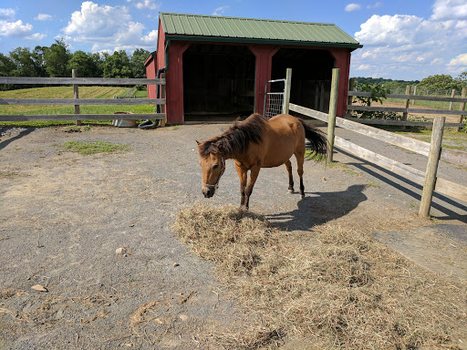 Farm «Clarks Elioak Farm LLC», reviews and photos, 10500 Clarksville Pike, Ellicott City, MD 21042, USA