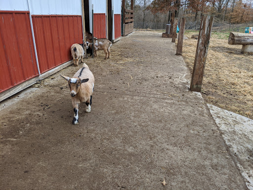 Farm «Goat Milk Stuff», reviews and photos, 76 S Lake Rd N, Scottsburg, IN 47170, USA