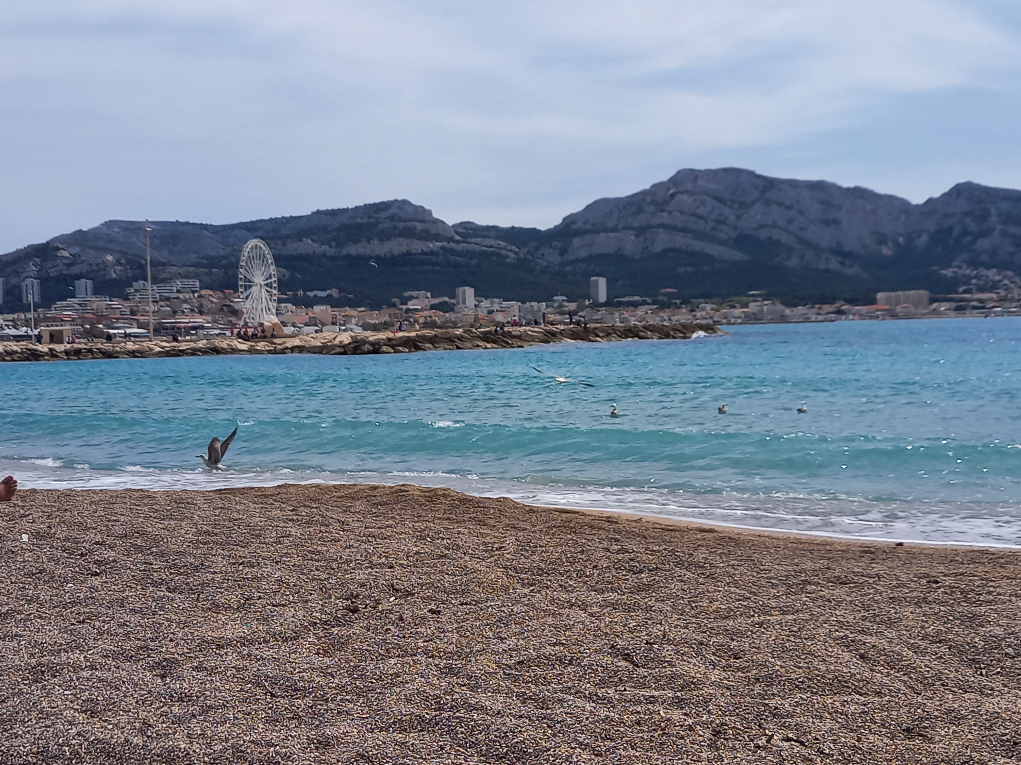 Photo n° 2 de l'avis de El.e fait le 22/04/2023 à 19:43