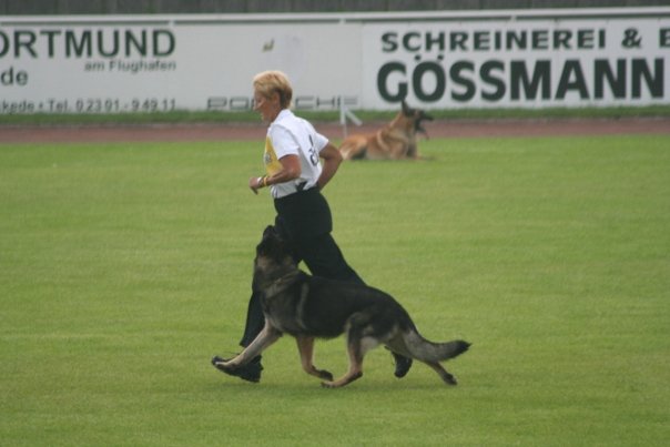 Red River Working Dogs